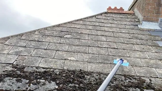 roof cleaning