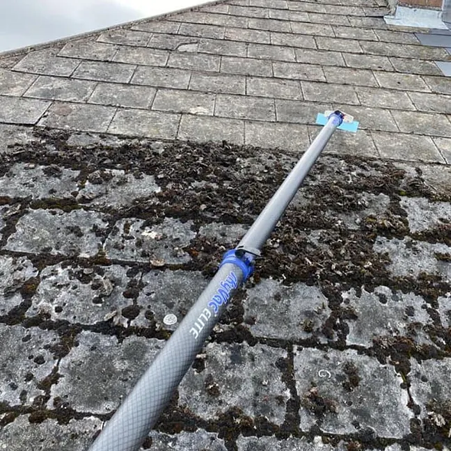 roof cleaning